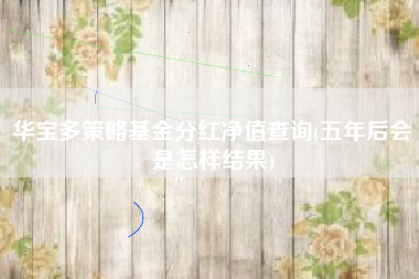 华宝多策略基金分红净值查询(五年后会是怎样结果)