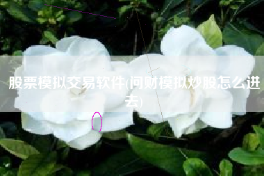 股票模拟交易软件(问财模拟炒股怎么进去)