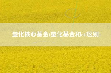 量化核心基金(量化基金和etf区别)