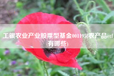 工银农业产业股票型基金001195(农产品etf有哪些)