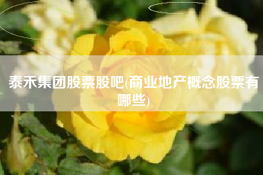 泰禾集团股票股吧(商业地产概念股票有哪些)