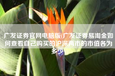 广发证券官网电脑版(广发证券易淘金如何查看自己购买的沪深两市的市值各为多少)