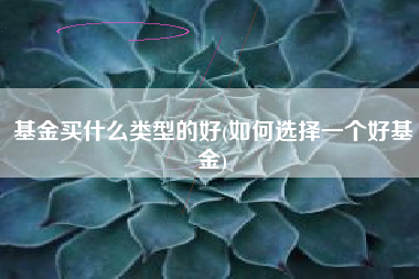 基金买什么类型的好(如何选择一个好基金)