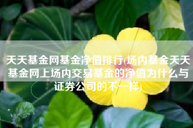 天天基金网基金净值排行(场内基金天天基金网上场内交易基金的净值为什么与证券公司的不一样)