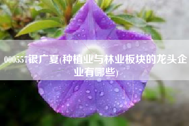 000557银广夏(种植业与林业板块的龙头企业有哪些)