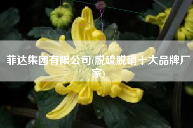 菲达集团有限公司(脱硫脱硝十大品牌厂家)