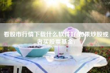 看股市行情下载什么软件好(如果炒股或者买股票基金)