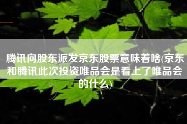 腾讯向股东派发京东股票意味着啥(京东和腾讯此次投资唯品会是看上了唯品会的什么)