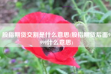 详细阅读:股指期货交割是什么意思(股指期货后面9999什么意思) 股指期货交割是什么意思(股指期货后面9999什么意思)