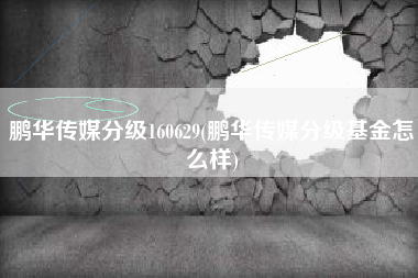 鹏华传媒分级160629(鹏华传媒分级基金怎么样)