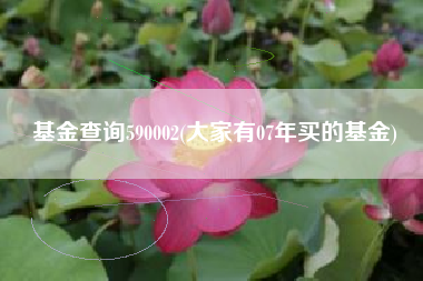 基金查询590002(大家有07年买的基金)