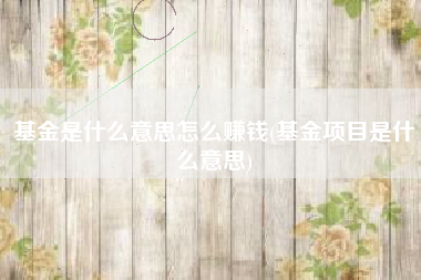 基金是什么意思怎么赚钱(基金项目是什么意思)