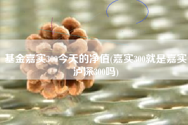 基金嘉实300今天的净值(嘉实300就是嘉实泸深300吗)