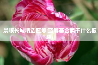 景顺长城精选蓝筹(蓝筹基金属于什么板块)