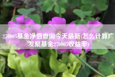 270005基金净值查询今天最新(怎么计算广发聚基金270005收益率)