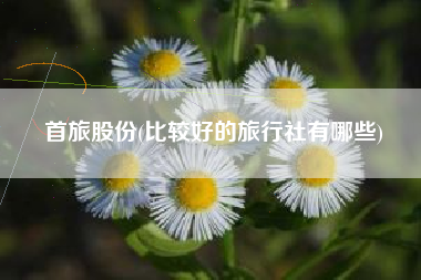 详细阅读:首旅股份(比较好的旅行社有哪些) 首旅股份(比较好的旅行社有哪些)