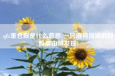 详细阅读:qfii重仓股是什么意思(一只值得投资的好股票由被发现) qfii重仓股是什么意思(一只值得投资的好股票由被发现)
