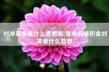 对冲基金是什么意思呢(香港的强积金对冲是什么意思)
