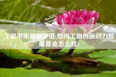工银平衡最新净值(想问工银创新动力股票基金怎么样)
