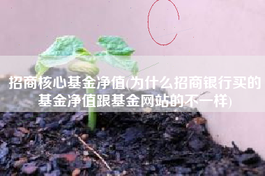 招商核心基金净值(为什么招商银行买的基金净值跟基金网站的不一样)
