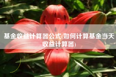 基金收益计算器公式(如何计算基金当天收益计算器)
