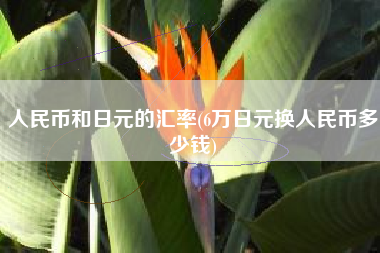 人民币和日元的汇率(6万日元换人民币多少钱)
