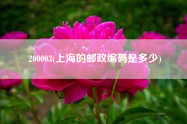 200003(上海的邮政编码是多少)