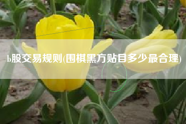b股交易规则(围棋黑方贴目多少最合理)