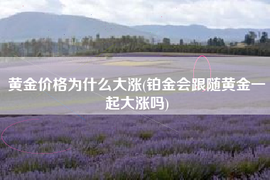 黄金价格为什么大涨(铂金会跟随黄金一起大涨吗)