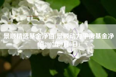景顺精选基金净值(景顺动力平衡基金净值2007年9月6日)
