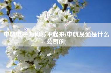 中航电子为何涨不起来(中航易通是什么公司的)