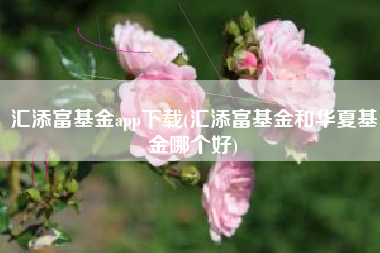 汇添富基金app下载(汇添富基金和华夏基金哪个好)