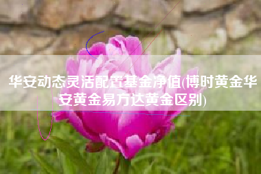 华安动态灵活配置基金净值(博时黄金华安黄金易方达黄金区别)