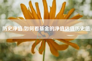 历史净值(如何看基金的净值估值历史值)