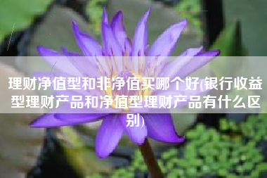 理财净值型和非净值买哪个好(银行收益型理财产品和净值型理财产品有什么区别)