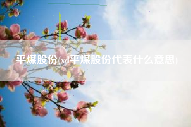 平煤股份(xd平煤股份代表什么意思)