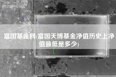 富国基金网(富国天博基金净值历史上净值最低是多少)