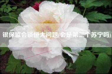 银保监会谈恒大问题(会是第二个苏宁吗)