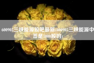600905三峡能源股吧最新(600905三峡能源中签是1000股吗)