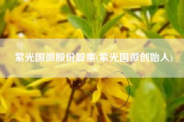 紫光国微股份股票(紫光国微创始人)