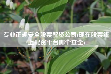 专业正规安全股票配资公司(现在股票线上配资平台哪个安全)