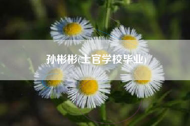 孙彬彬(士官学校毕业)