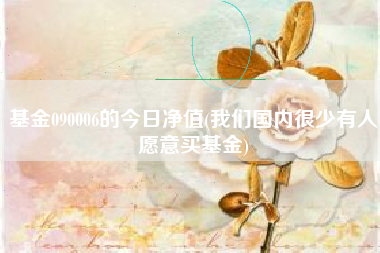 基金090006的今日净值(我们国内很少有人愿意买基金)