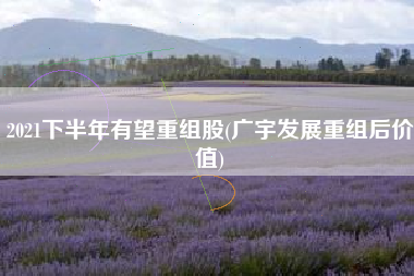 2021下半年有望重组股(广宇发展重组后价值)