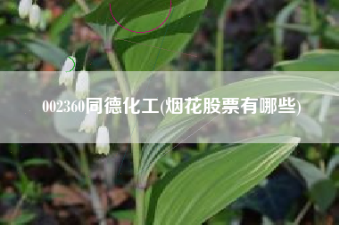 002360同德化工(烟花股票有哪些)