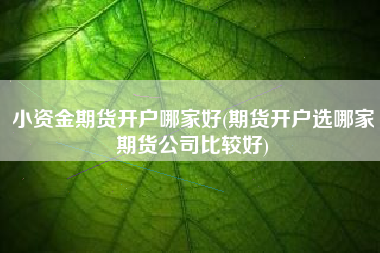 小资金期货开户哪家好(期货开户选哪家期货公司比较好)