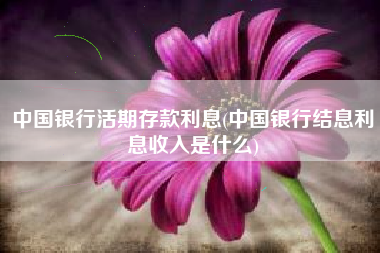 中国银行活期存款利息(中国银行结息利息收入是什么)