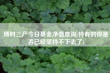 博时三产今日基金净值查询(持有的你是否已经坚持不下去了)