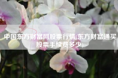 中国东方财富网股票行情(东方财富通买股票手续费多少)
