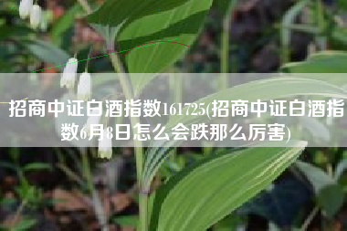 招商中证白酒指数161725(招商中证白酒指数6月8日怎么会跌那么厉害)